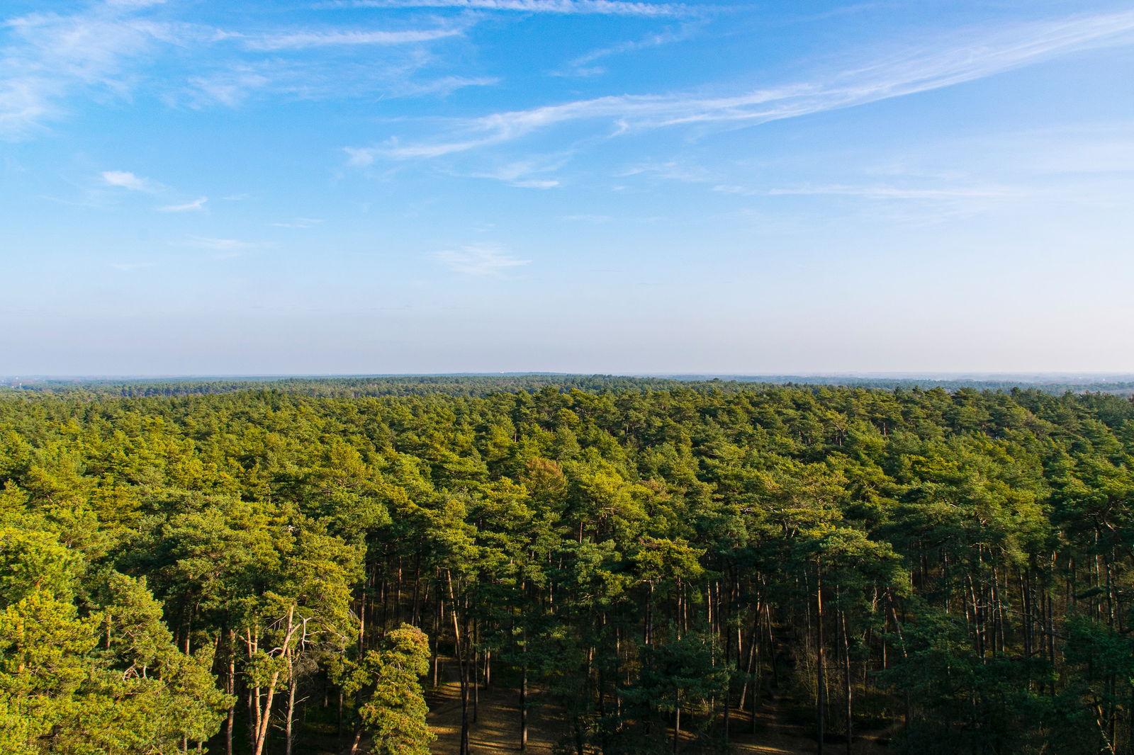 Herentals 014 nummer.jpg